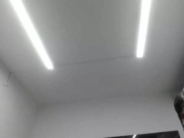 Freechat Afrodita-roos on BongaCams