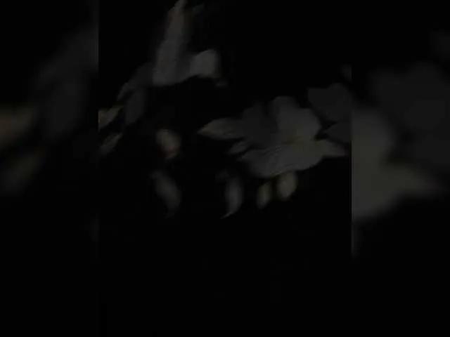 Offline alenka74 on BongaCams