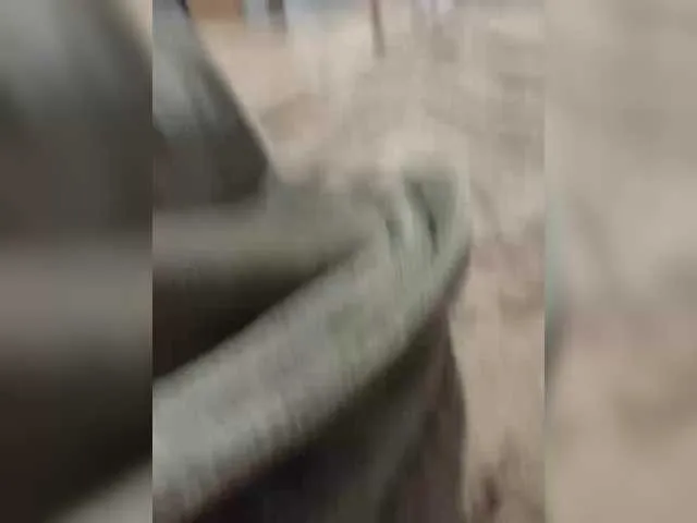 Anchelikaaa on BongaCams