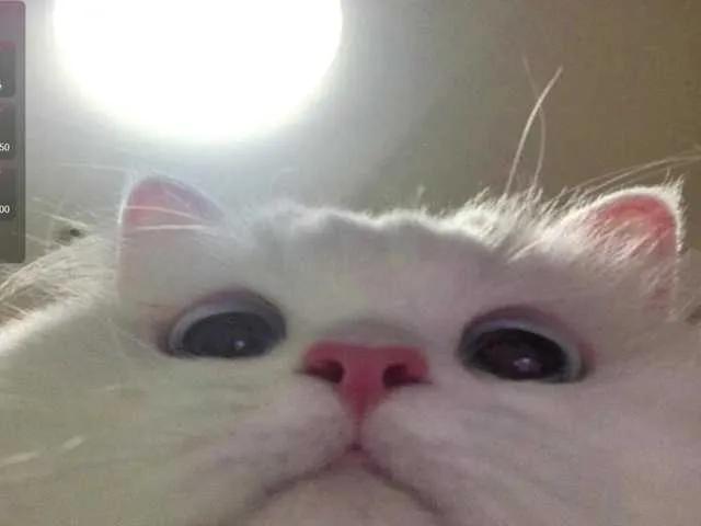 Offline CrazyWine on BongaCams