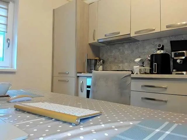 Offline cuplu29 on BongaCams