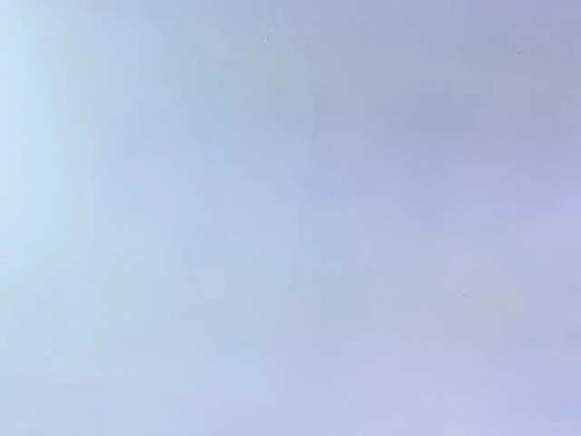 DahianaMoss on BongaCams