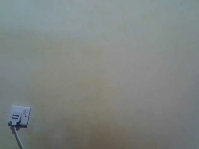 Offline ebony-vannilah on BongaCams