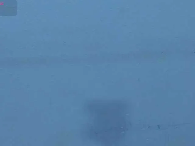 Harsh-mode on BongaCams