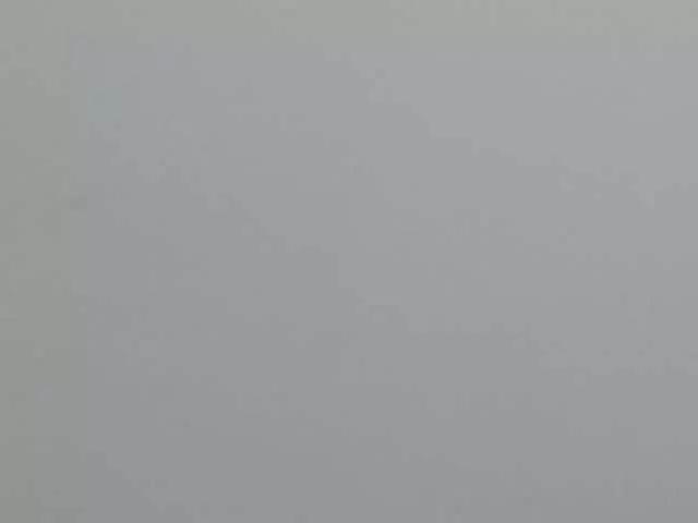 Offline NatyPrecious on BongaCams