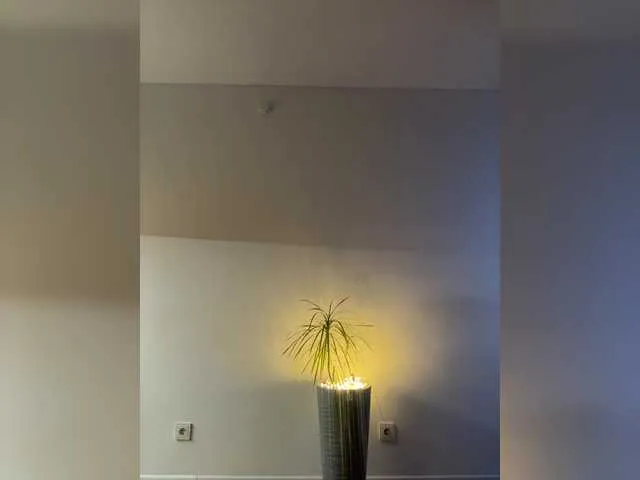 Offline NotBellucci on BongaCams