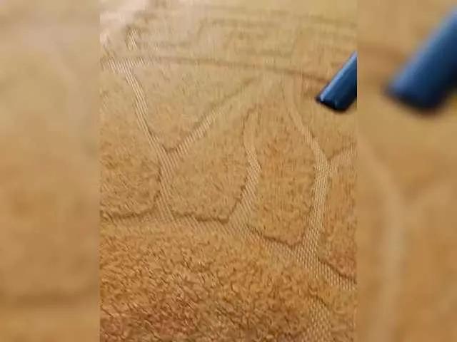 Offline RosFair on BongaCams