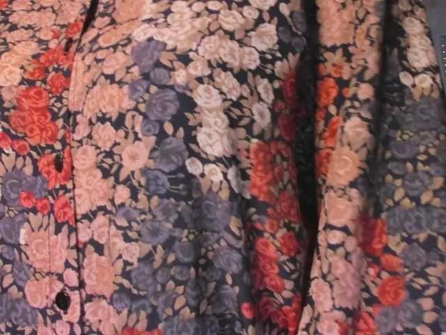 Offline SoftVANESSA on BongaCams