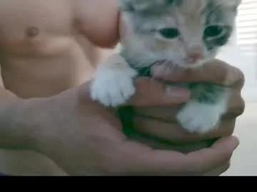 Freechat bbrn_88 on Chaturbate