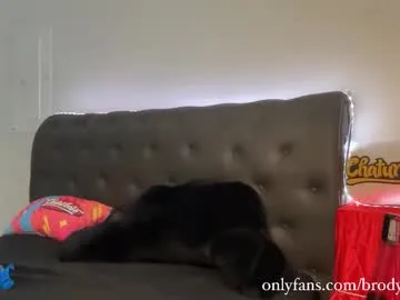 brodybiggs on Chaturbate