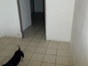 roastingcorn — Cum @ Goal  Private Open  #cum #bigcock #bigdick #findom #daddy