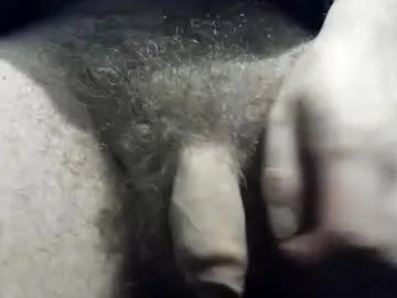 tacosize model from cb