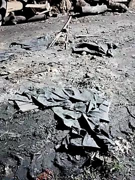 Ankitahot1993 on StripChat