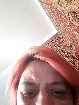 Belowa7362 model from sc