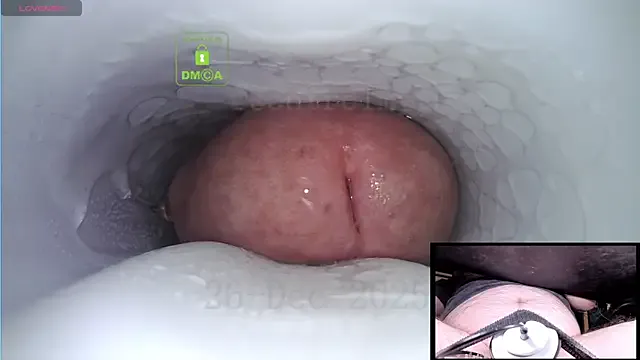 controlmytoys on StripChat