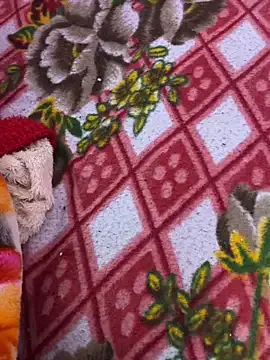 Cute_palak001 — 50000