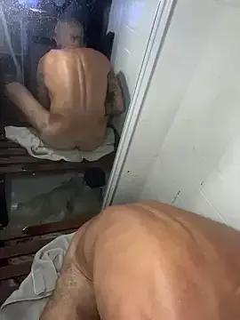 HandyBro — Donations for animal shelters