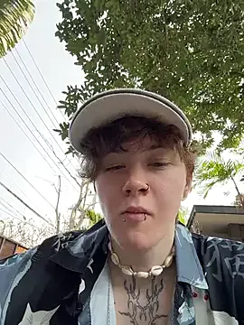 IceMur model from sc