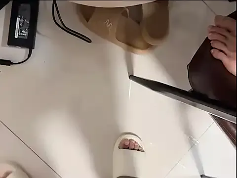 lligongzhi model from sc