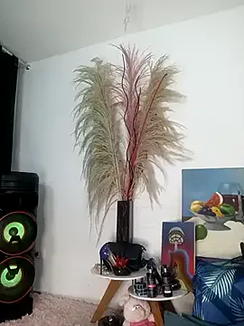 Freechat lovely_kitt on StripChat