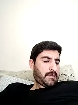 mersin3 model from sc