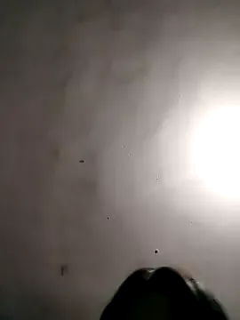 monsssOrt model from sc