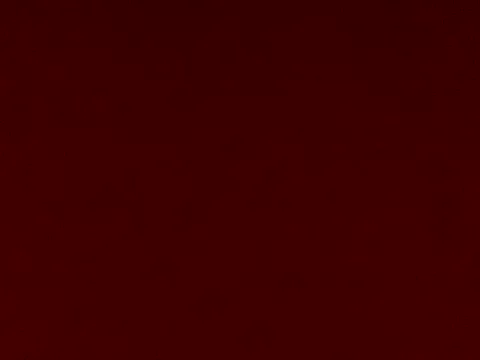 naughtyannu's avatar