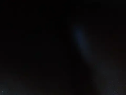 Naughtylong model from sc