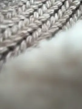 Freechat NewLale on StripChat