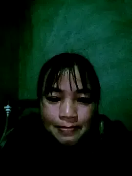 Noelle-e model from sc