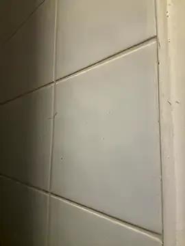 Private raen001 on StripChat