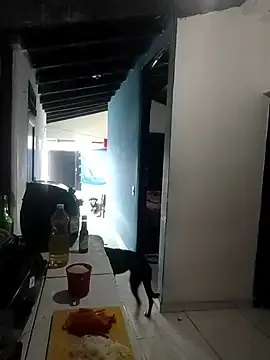 Freechat sk8-boy on StripChat