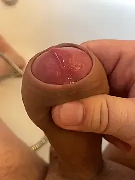 VIP9696 model from sc