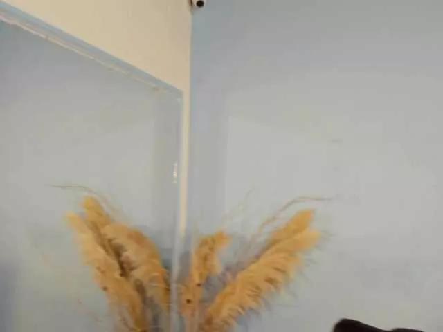 Abril-jones10 webcams show profile image 