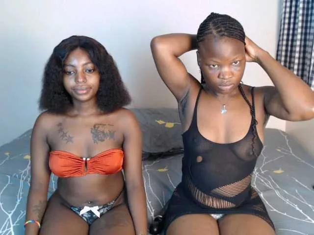 Explore our live girls sluts from our Custom and Multi clubs and checkout exclusive access to highly interactive content, such as shape, hair, titties, pussy type and many more.