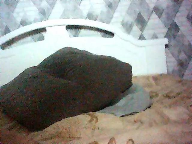 Maksim6614 webcams show profile image 