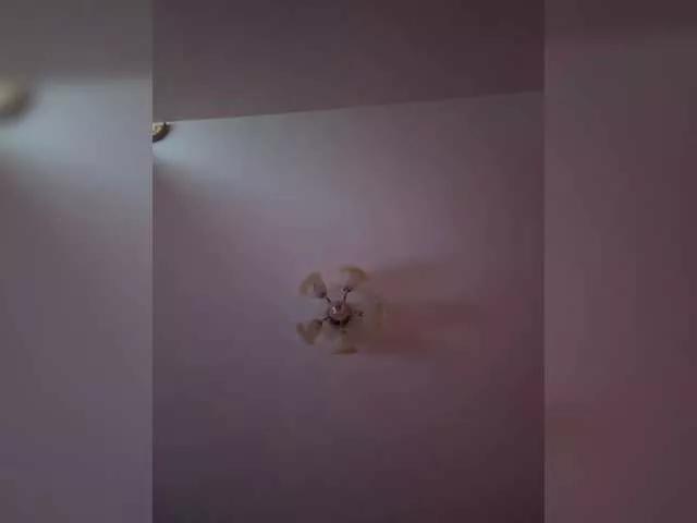 Maria-5 from BongaCams is Freechat