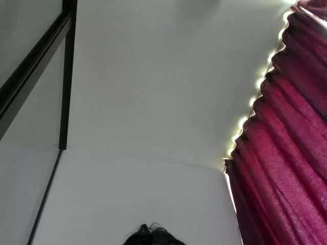 MinaAngel from BongaCams is Freechat