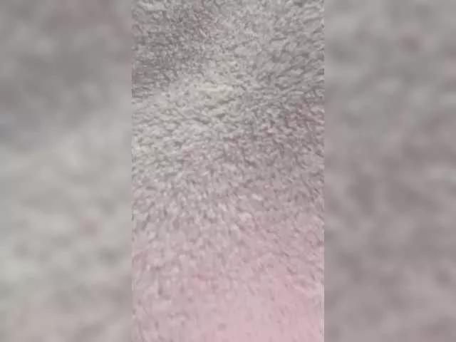 puppy19 from BongaCams