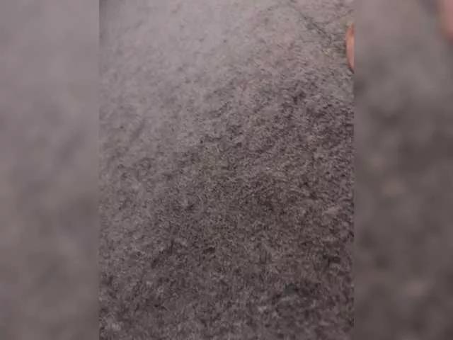 Sexy6969 from BongaCams is Freechat