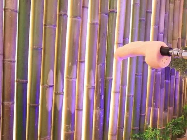 VikkiRood from BongaCams