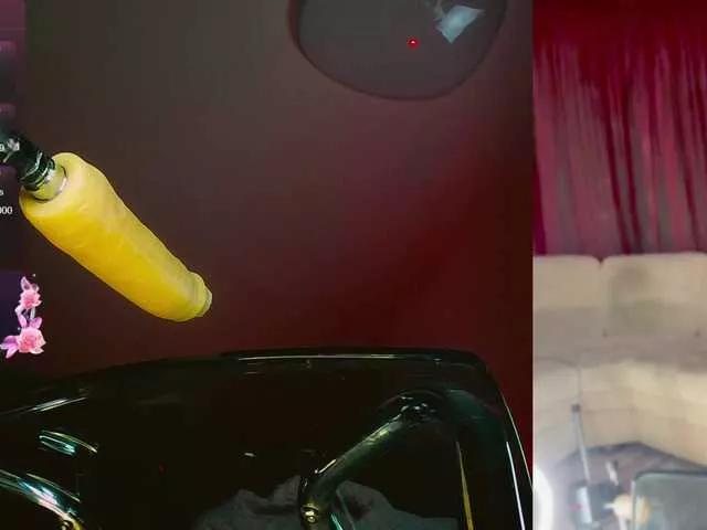 Explore our live girls sluts from our Custom and Multi clubs and checkout exclusive access to highly interactive content, such as shape, hair, titties, pussy type and many more.