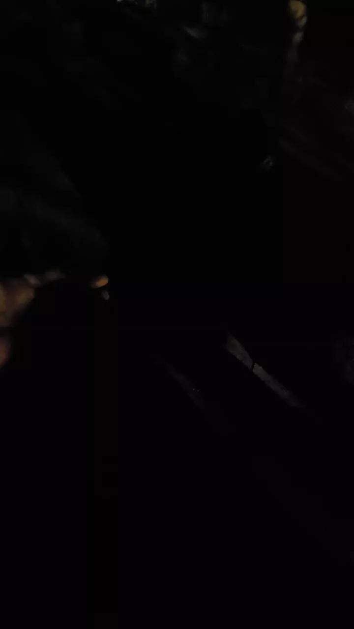 pollen_07 from Cam4