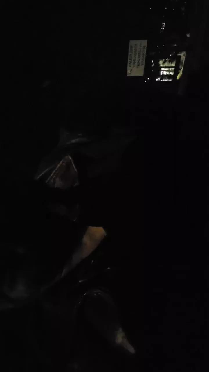pollen_07 from Cam4