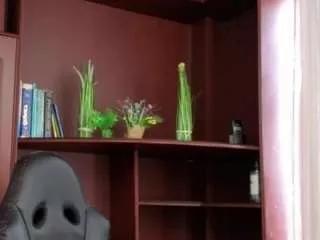 Gianella-cox webcams show profile image 