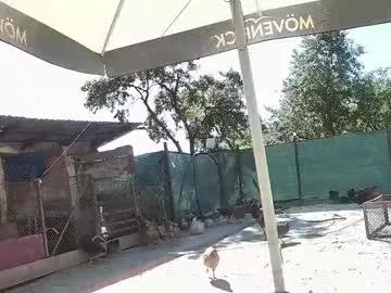 anaworld69 from Chaturbate