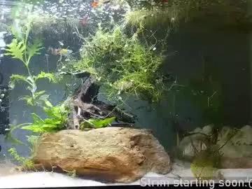 booker_baxton from Chaturbate