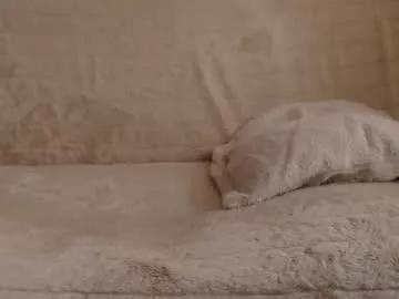 danaperfect from Chaturbate
