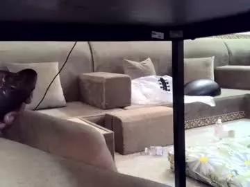 firecok55 from Chaturbate is Freechat