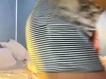 fireworks54321 from Chaturbate is Freechat